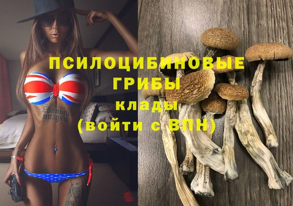 COCAINE Алексеевка