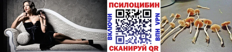hydra tor  где купить   Малоархангельск  Галлюциногенные грибы мицелий 