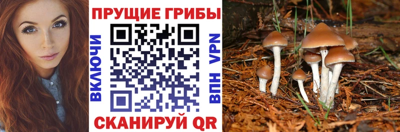 Псилоцибиновые грибы GOLDEN TEACHER Малоархангельск